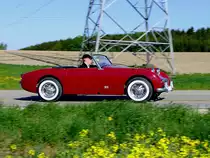AUSTIN-Frogey befindet sich anlsslich einer Oldtimerausfahrt in rasantem Tempo; 1205014