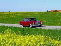 MB-220S(W111), unternimmt einen Feiertagsausflug; 120501