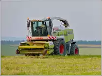 Claas Jaguar 890 H�cksler macht sich auf den Weg zum n�chsten Einsaz. 25.07.2012