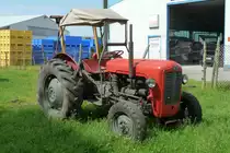 MF eines Traktorensammlers in Nordholz, Juli 2012