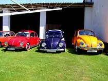 Kfer-Trio aus dem Bezirk Schrding; 120812