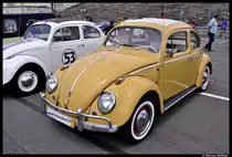 VW-K�fer am 8. Juli 2012 beim K�fertreffen an der Steintrib�ne in N�rnberg.
