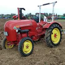 Porsche Junior steht auf einem Feld am Baiersröder Hof, August 2012