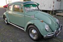 Andy`s grnes Schtzchen im August 2012