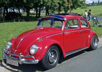 Andy`s rotes Schtzchen mit Skiausrstung im August 2012