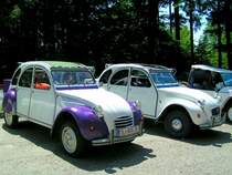 2CV (auch Ente oder deux chevaux genannt) im Doppelpack bei der 1.Oldtimerausstellung Turmwirt; 080622