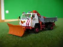 Steyr 1291 Kipper mit Kran und Schneepflug