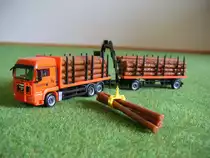 MAN TGS Holztransporter  Kollan und Klein 