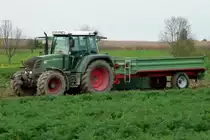 Fendt 311, mit Ein-Achs-H�nger, Okt.2012