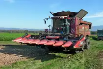 M�hdrescher Case 6130 mit Maism�hwerk, Okt.2012