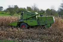 M�hdrescher Claas Mercator 75 bei der Maisernte, Okt.2012