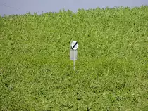 Verkehrsschild Ende 50km/h; inmitten eines saftig gr�nen Feldes; 121101