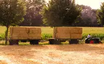 24 MWM PS im HELA gegen 16 Bicpack&acute;s am 1.August 2012 in Vennikel! Burli gibt Gummi!