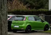 Fiat Punto Evo. Foto 25.11.2012