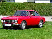 ALFA-2000, bringt etwas farbliche Abwechslung in die gr�ne Botanik; 120526