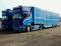 SCANIA R580,V8 und 164L 580; von H.Peitzmann, warten in Ried i.I. mit ihren Viehtransportaufliegern auf die Beladung von Zuchtrindern; dem netten Fahrerp�rchen allseits gute u. unfallfreie Fahrt; 1300306