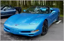 Chevrolet Corvette, Bj 2001. Die Fahrer von diesen Corvette machten eine kurze Pause an einem Rastplatz, w�hrend einer Fahrt zu einem Corvettetreffen am 03.05.2013.   