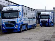 ACTROS-1848, von Int. Transporte Scholz mit Viehtransportaufbau; 130402