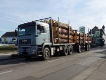 MAN TGA26.480 aus dem Landkreis Freyung ist beladen mit Fichtenstmmen aus sterreich; 130306