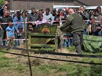 Demonstration einer Dreschmaschine. 

Treckertreff Aldekerk, 13.5.12 
