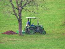 STEYR  15ner  mit Fhrerplatzberdachung bei der herbstlichen Feldarbeit in Bad Zell 2004-10-24