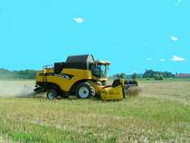 Mhdrescher (NewHolland_CX760) hat nur noch ein  Bschel  Raps am Feld abzuernten; Neuhofen/Innkr. 080716