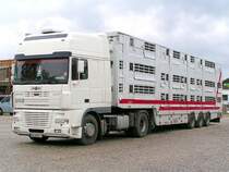 DAF-XF einer franz. Spedition mit Aufbau fr Groviehtransporte wartet am Messegelnde in Ried i.I. auf die Beladung; 080717