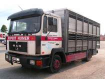 MAN 12.192 mit Aufbau fr Groviehtransport; 080718