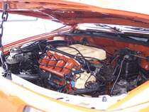 Diese VW Passat 35i 2.0 16V war am 24.06.07 bei den Tuning-Days in Oberwiesenthal zu sehen. Detailfoto vom Motor.