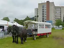 Dieses Pferdegespann stand am 05.07.2013 bereit um eine Runde mit den Besuchern der Landwirschaftsaustellung in Ettelbr�ck zu drehen.