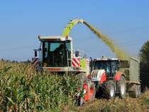 CLAAS-JAGUAR-860 beim Maish�ckseln mit  Weitwurf-Zielschiessen  ;130928