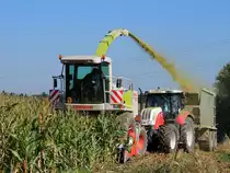 CLAAS-JAGUAR-860 beim Maishckseln mit  Weitwurf-Zielschiessen  ;130928