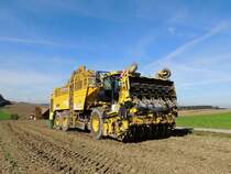 Zuckerrbenvollernter: euro-Tiger V8 4a; 444kW; Bj.2013; Fabr.ROPA; erhlt nach getaner Arbeit eine Abschmiereinheit; (leider konnte ich dieses Gefhrt nicht mehr im Einsatz ablichten) 131019