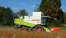 Claas Lexion 560 bei der Ernte von Sojabohnen in der Rheinebene, Okt.2013
