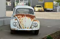 Hier habe ich den K�fer noch einmal in einer Frontansicht abgelichtet.......
sieht schon richtig schr�gaus. Korschenbroich den 9.11.2013