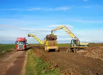 Selbstfahrende R�benroder auf feld am 21.10.2013.