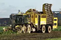 Ropa Zuckerrüben-Erntefahrzeug im Abendlicht auf einem Acker bei Euskirchen - 20.11.2013