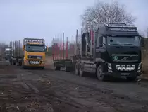Am 14.Januar 2014 standen Diese beiden polnischen VOLVO Holztransporte am Bahnhof in Bergen/Rügen.
