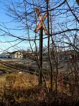 Andreaskreuz verwachsen im Gestrüpp, ist nur während der laublosen Jahreszeiten ersichtlich Lagerhausstutzen Bhf. Ried; 140106