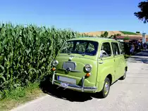 STEYR-FIAT-Multipla 600D; Hubraum: 767ccm, Leistung:25 PS, Bj.1964 startet zur Wadholz-Classic2013; 130721
