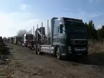Mehrere polnische Holztransporter,am 01.März 2014,am Bahnhof in Bergen/Rügen.