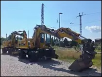 Terex Bagger in Sassnitz am 10.08.2013