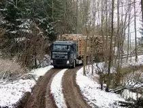 VOLVO FH12 460 mit Hänger, vollbeladen auf einem schmalen, kurvigen Waldweg, welcher vorerst unbeladen rd.400mtr. im Retourgang passiert werden musste;  140130