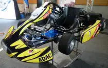 Kart Rennwagen, ausgestellt zur Automesse in Freiburg Feb.2014