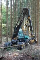 Timberjack hat den Kampf gegen den Borkenkäfer aufgenommen, Mai 2014