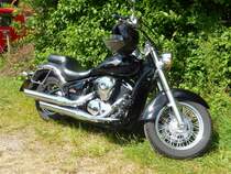 Kawasaki, gesehen bei der Kreistierschau des LK Fulda in Petersberg-Melzdorf, Juni 2014