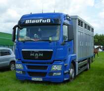 MAN steht als Viehtransporter bei der Kreistierschau des LK Fulda in Petersberg-Melzdorf, Juni 2014