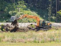 HYUNDAI 210 LC-9, ist mit dem Aushub von Wurzelstöcken beschäftigt; 140718