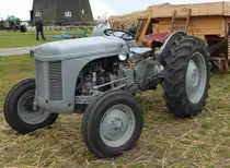 MF TE, gesehen im Agroneum von Alt Schwerin im August 2014