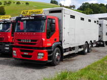 IVECO STRALIS Tiertransporter bei Ufhusen am 24.08.2014